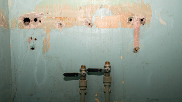 Best Flood damage cleanup  in Dillsboro, IN