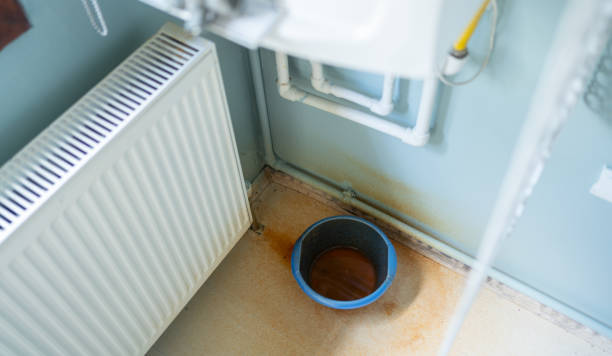 Best Basement water damage restoration  in Dillsboro, IN