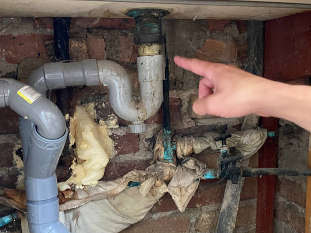 Best 24-hour water damage restoration  in Dillsboro, IN