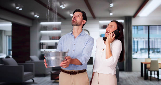 Carpet water damage restoration in Dillsboro, IN